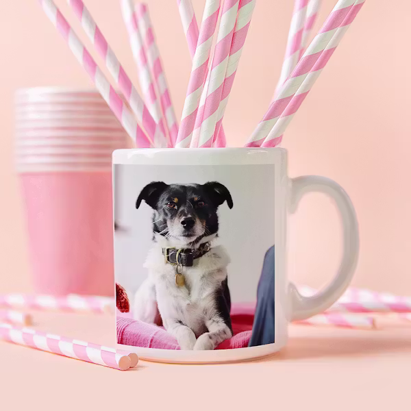 Caneca personalizada com foto, cerâmica branca