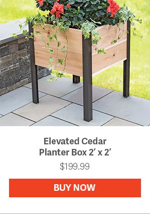 Elevated Cedar Planter Box 2' x 2' $199.99 - BUY NOW