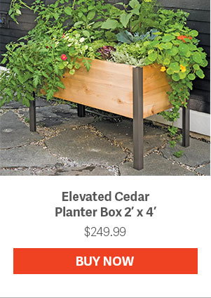 Elevated Cedar Planter Box 2' x 4' $249.99 - BUY NOW