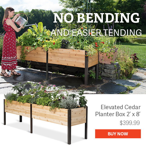 No Bending and Easier Tending Elevated Cedar Planter Box 2' x 8' $399.99