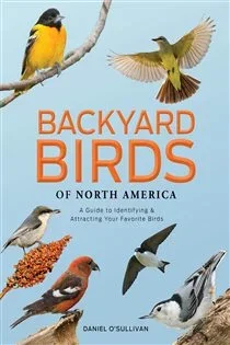 Backyard Birds of North America, by Daniel O'Sullivan