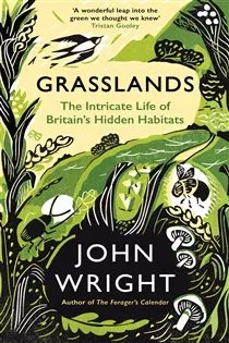 Grasslands, by John Wright