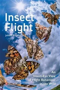 Insect Flight, by John H. Brackenbury