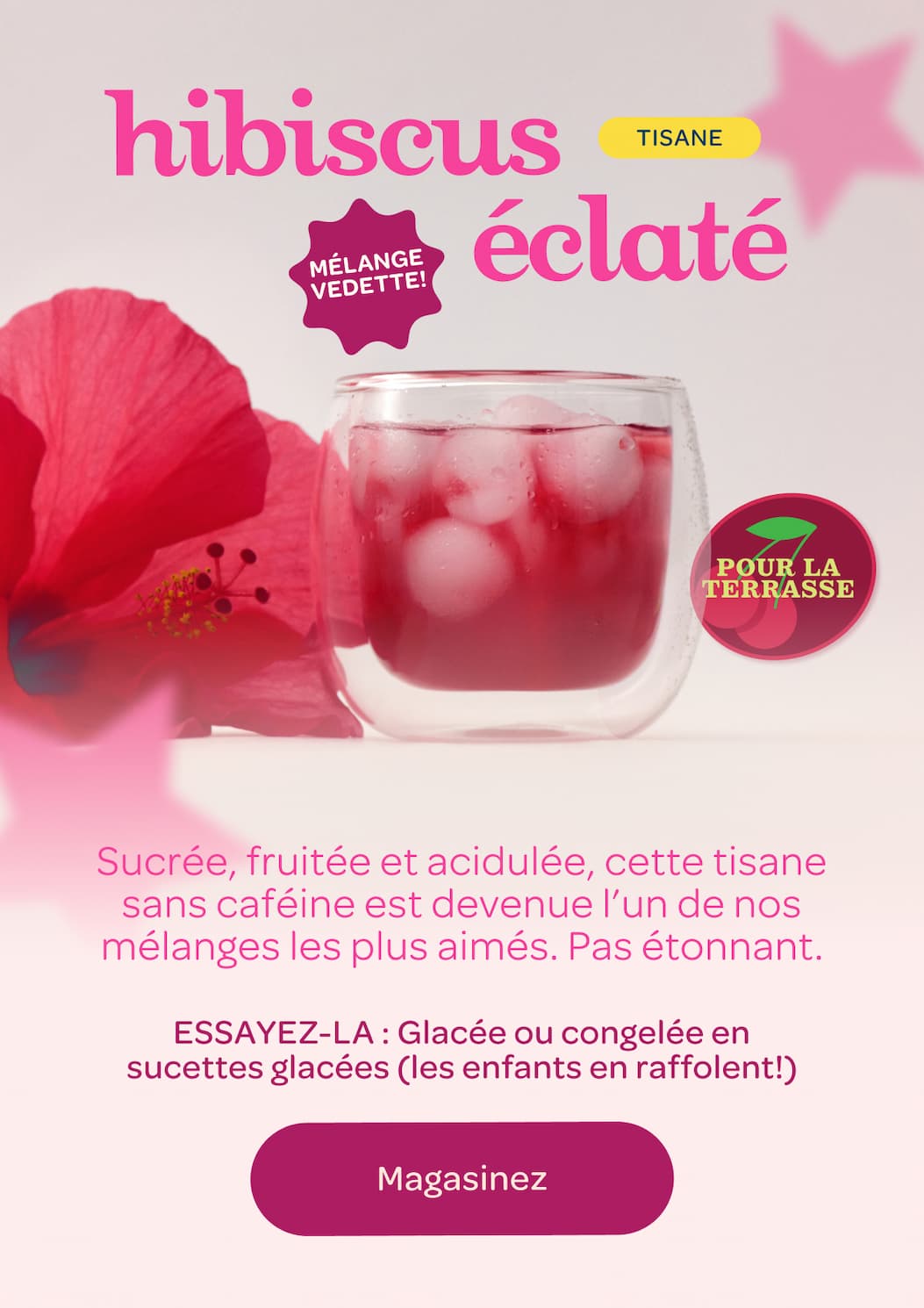 hibiscus eclate