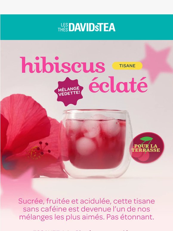 Votre thé préféré pour l’été 🌺