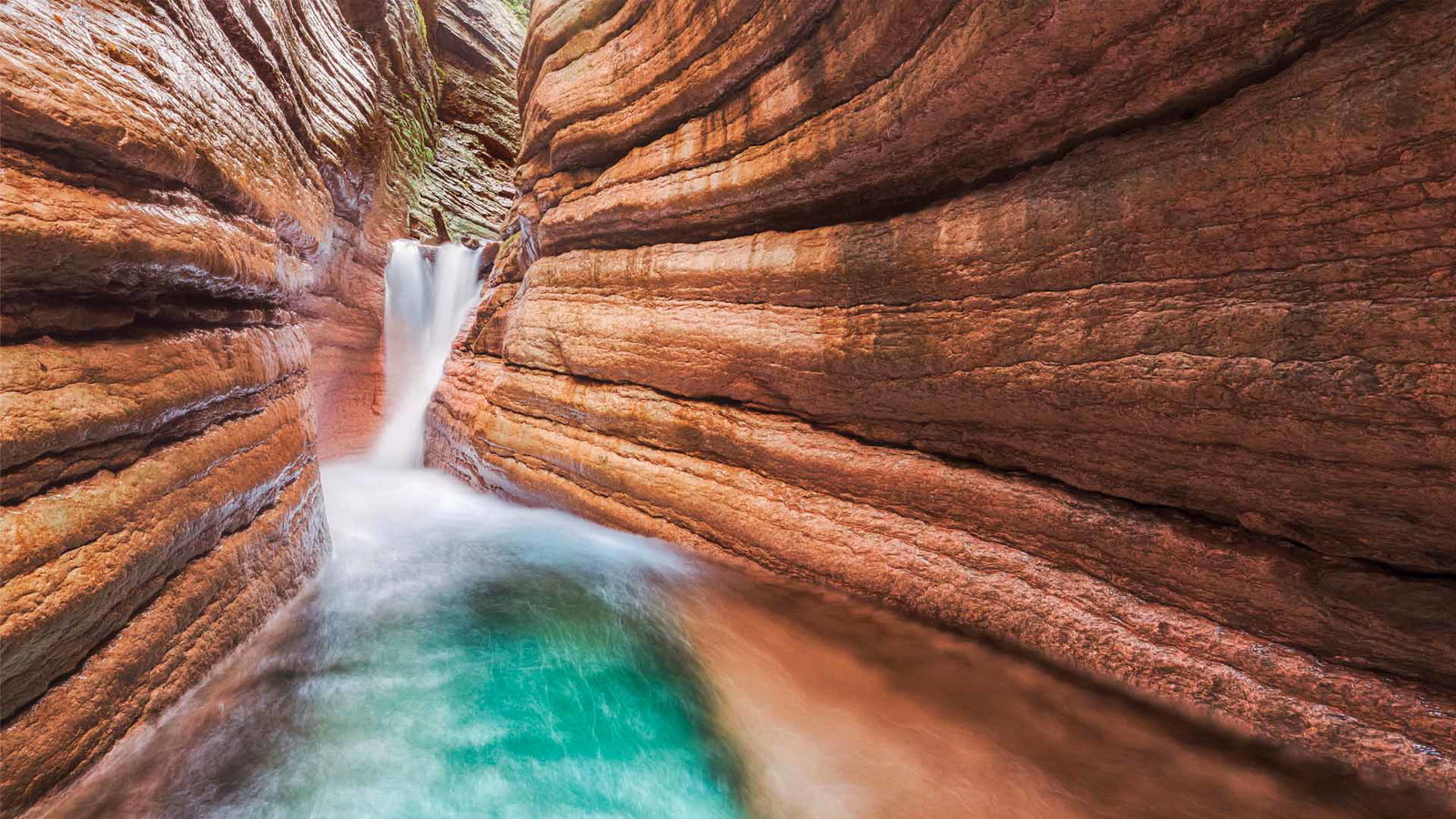 Nature image