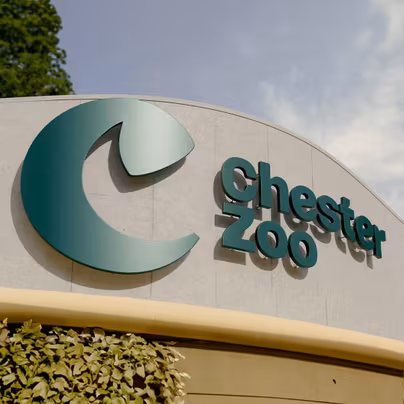 Chester Zoo - Adult Entry Ticket from 2pm