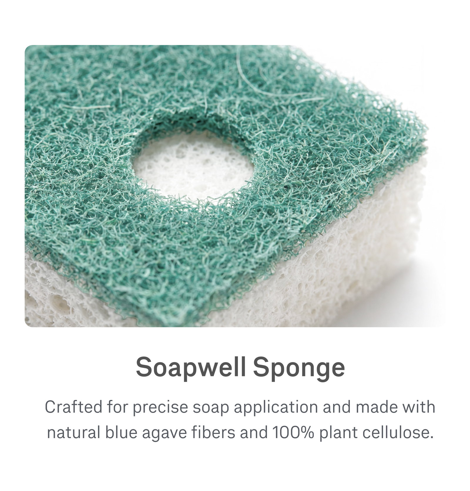 Soapwell Sponge