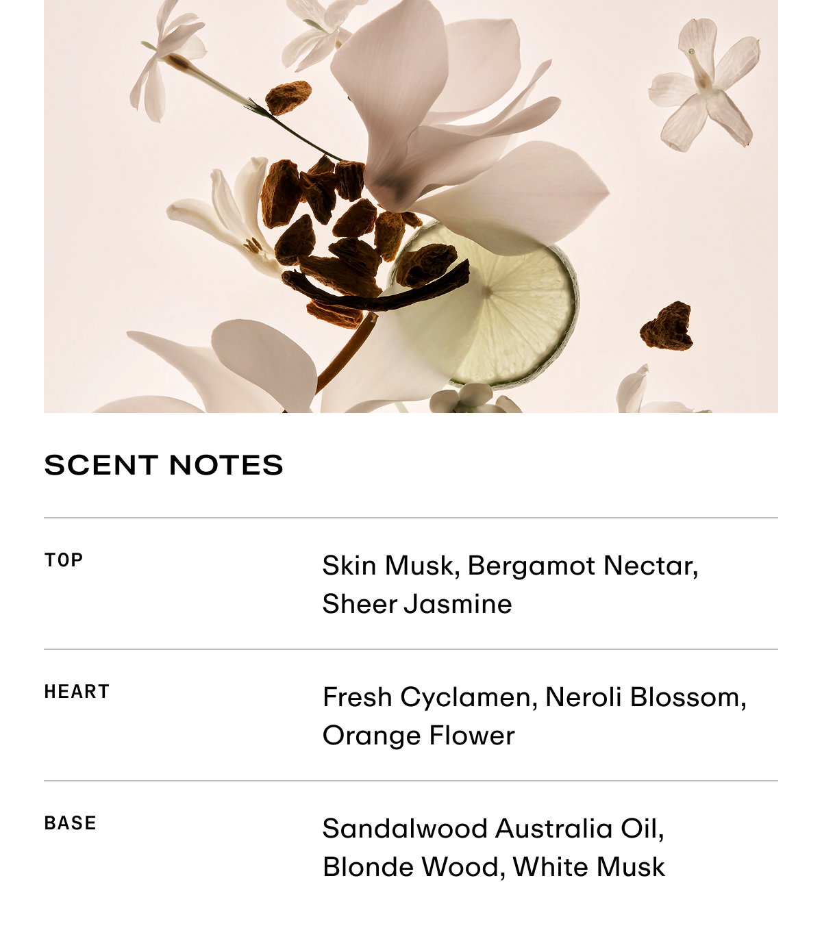 Missing Person - Scent Notes