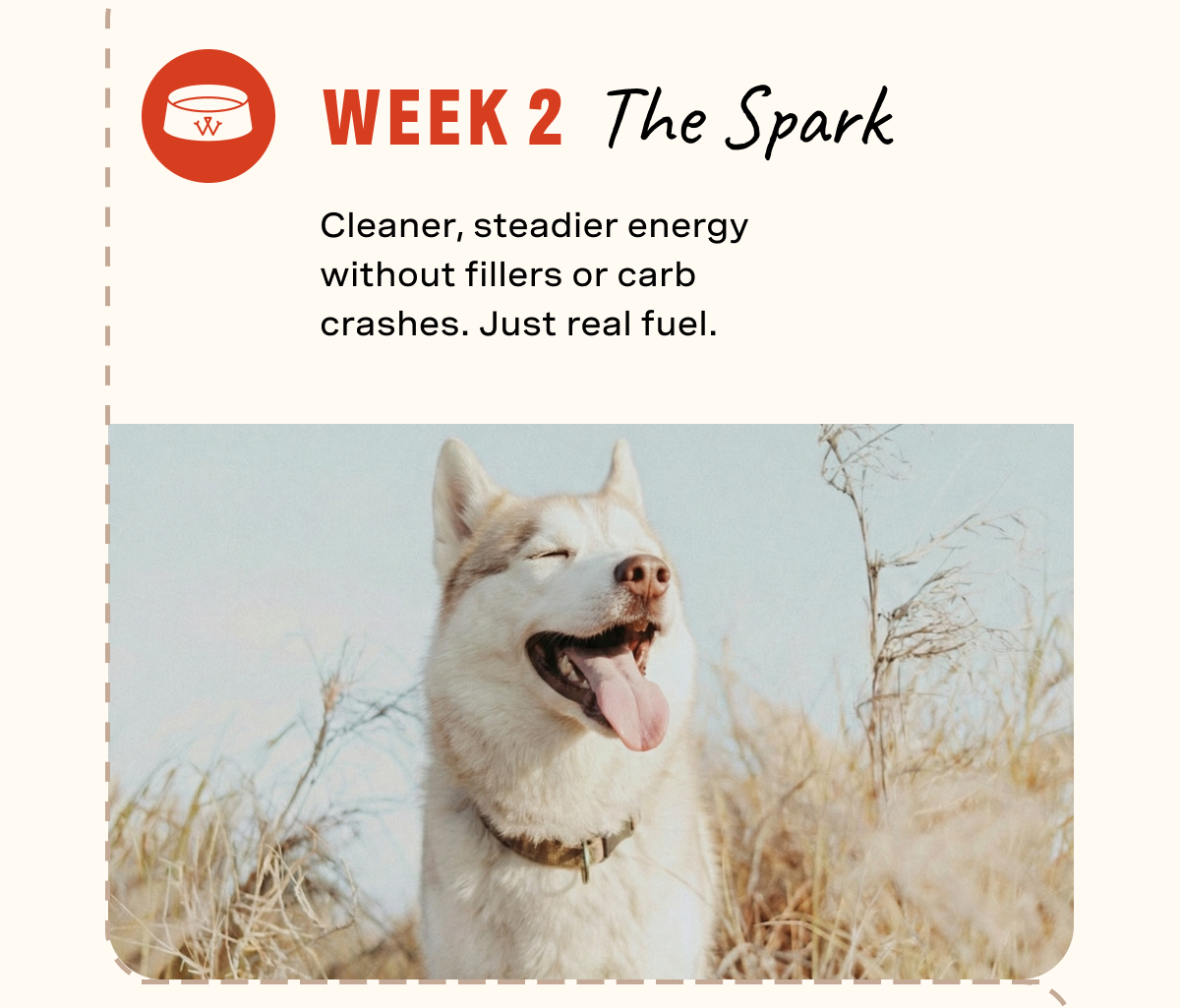 Week 2: The Spark