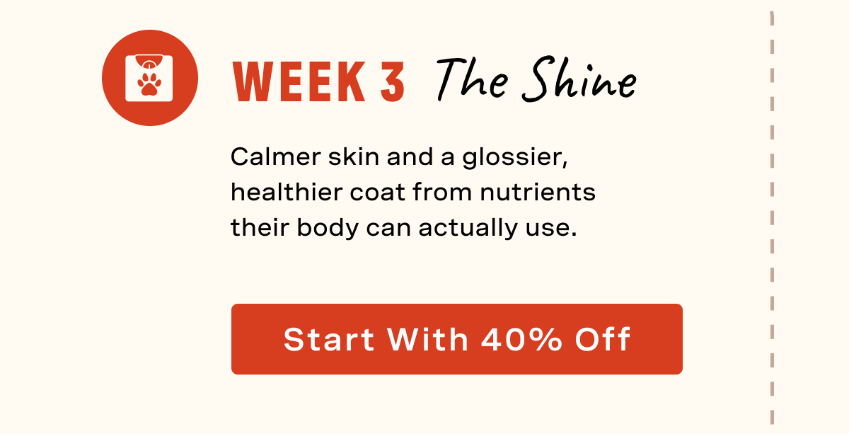 Week 3: The Shine
