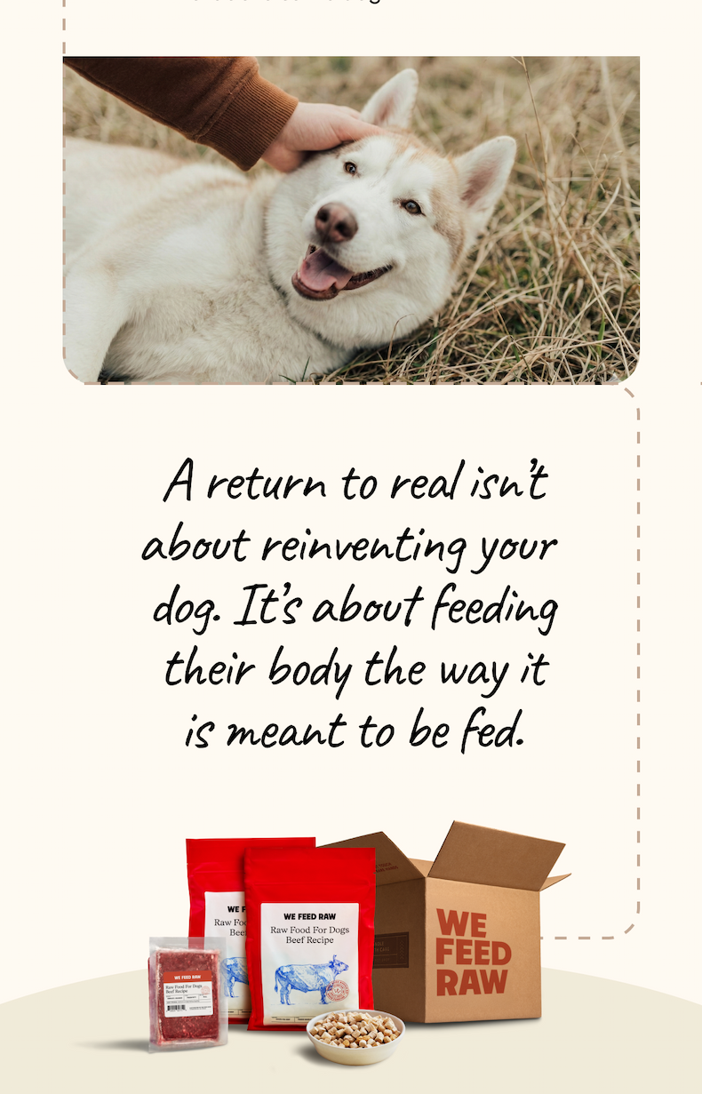 A return to real isn’t about reinventing your  dog. It’s about feeding their body the way it is meant to be fed.