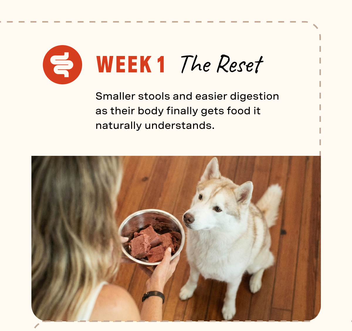 Week 1: The Reset