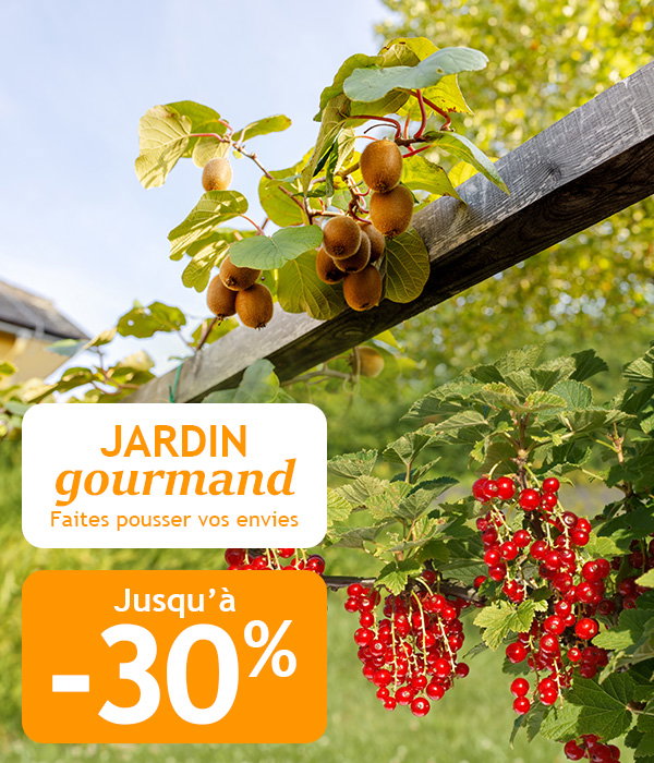Jusqu'à -30% pour un jardin gourmand !