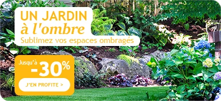 Un jardin à l'ombre jusqu'à -30%