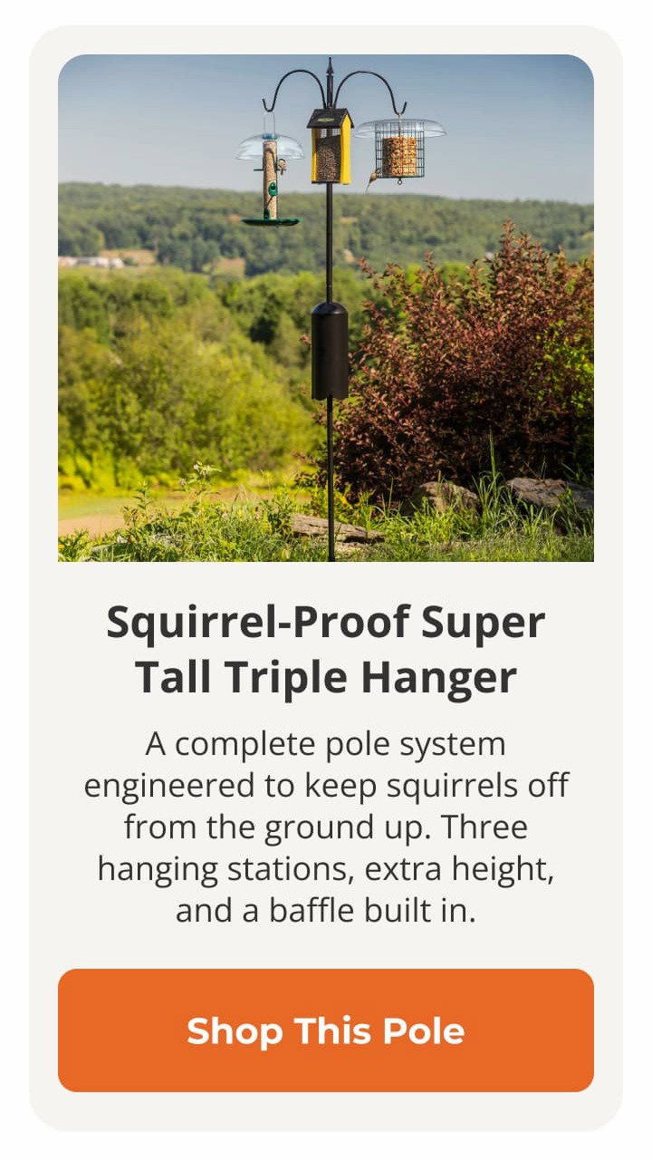 Squirrel-Proof Super Tall Triple Hanger