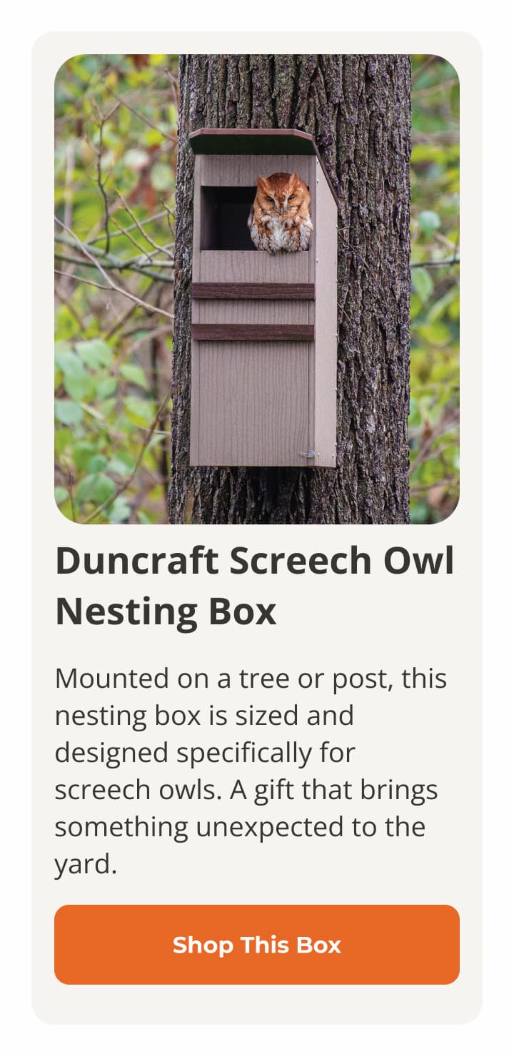 Duncraft Screech Owl Nesting Box