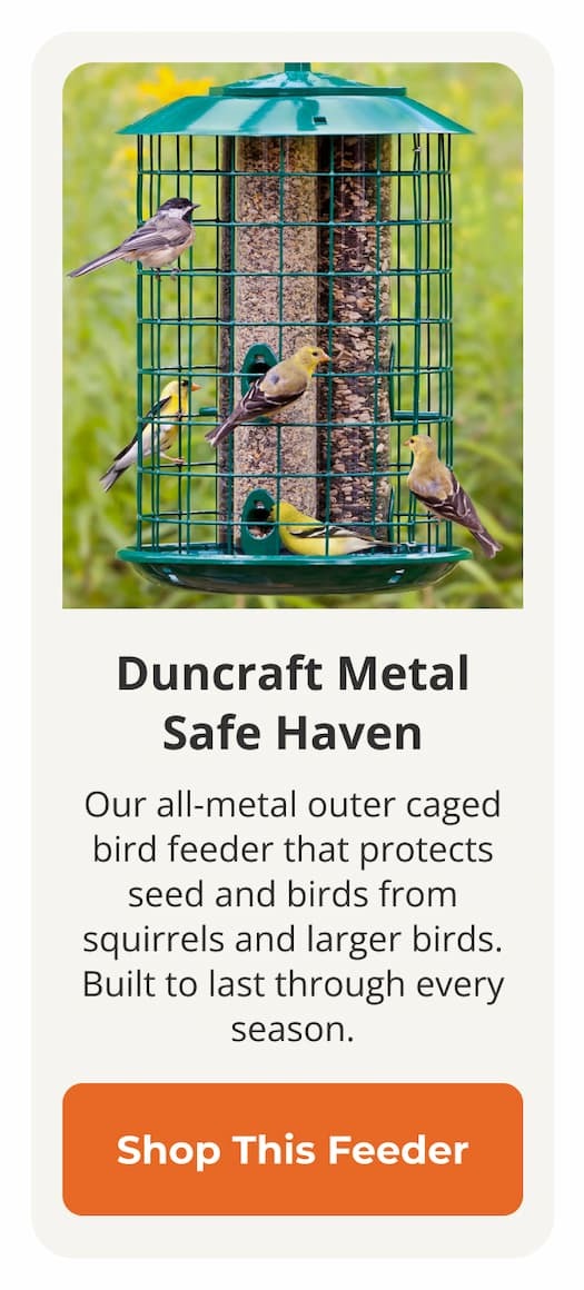 Duncraft Metal Safe Haven
