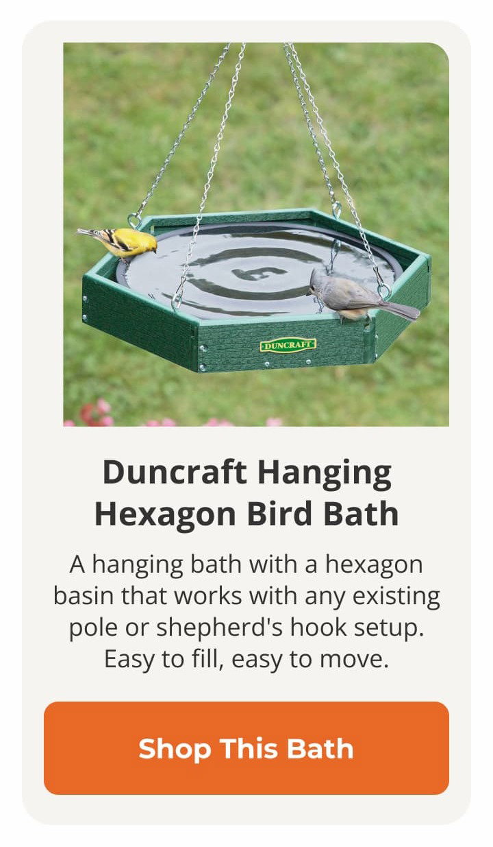 Duncraft Hanging Hexagon Bird Bath