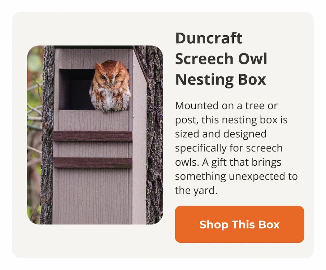 Duncraft Screech Owl Nesting Box