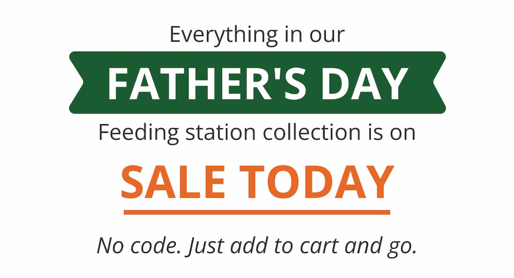 Everything in our Father's Day