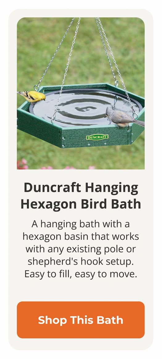 Duncraft Hanging Hexagon Bird Bath