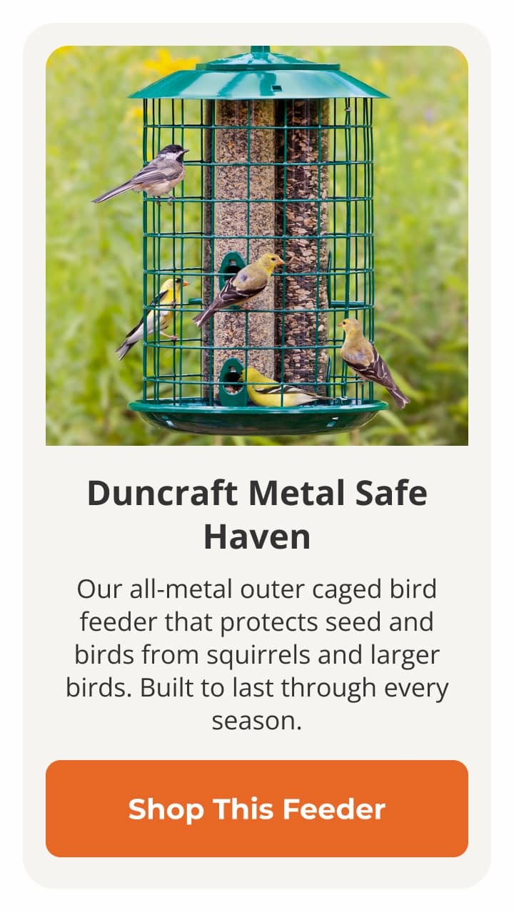 Duncraft Metal Safe Haven