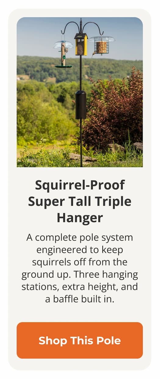 Squirrel-Proof Super Tall Triple Hanger