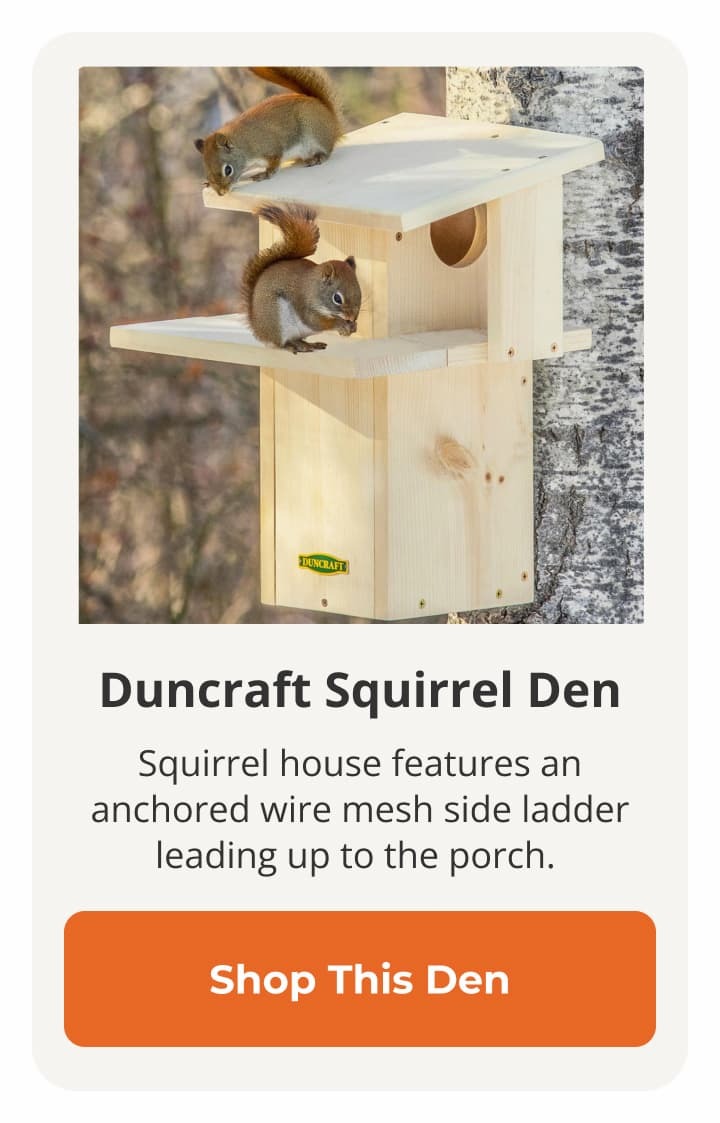Duncraft Squirrel Den