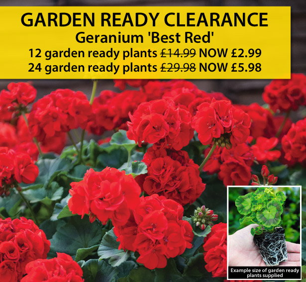 Garden Ready Clearance