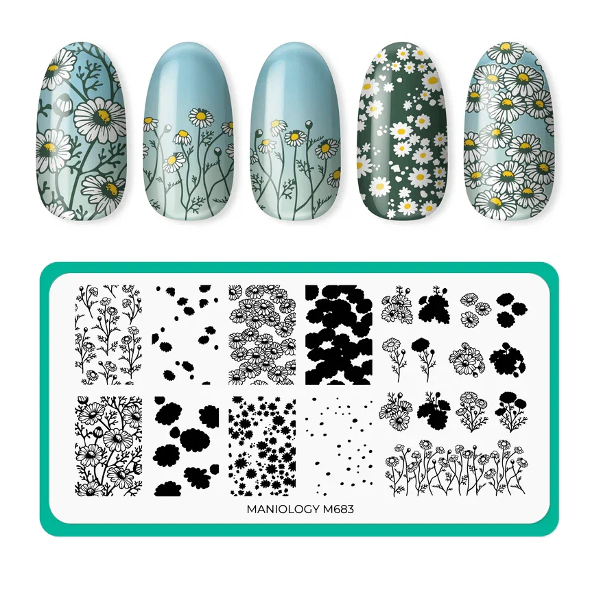 Image of Maniology - Stamping Plate - Chamomile Melody - M683