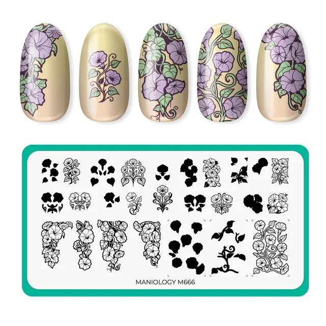 Image of Maniology - Stamping Plate - Morning Glory (M666) - Nail Stamping Plate