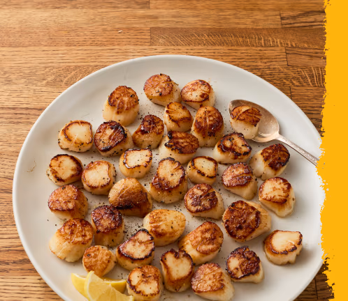 Scallops