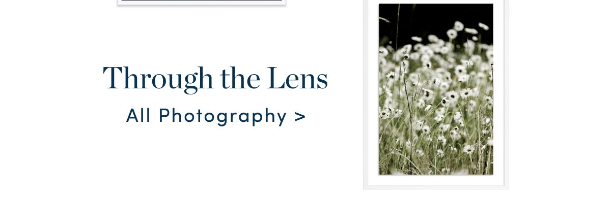 Shop All Photography