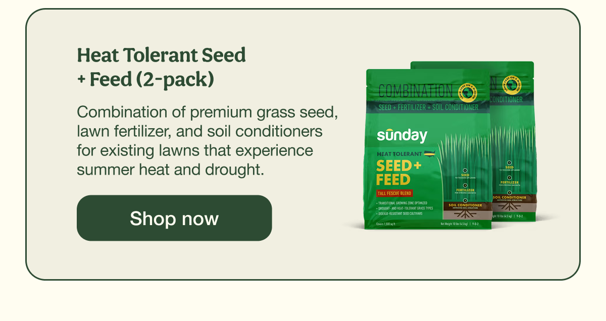 Heat Tolerant Seed  + Feed (2-pack) | Shop now