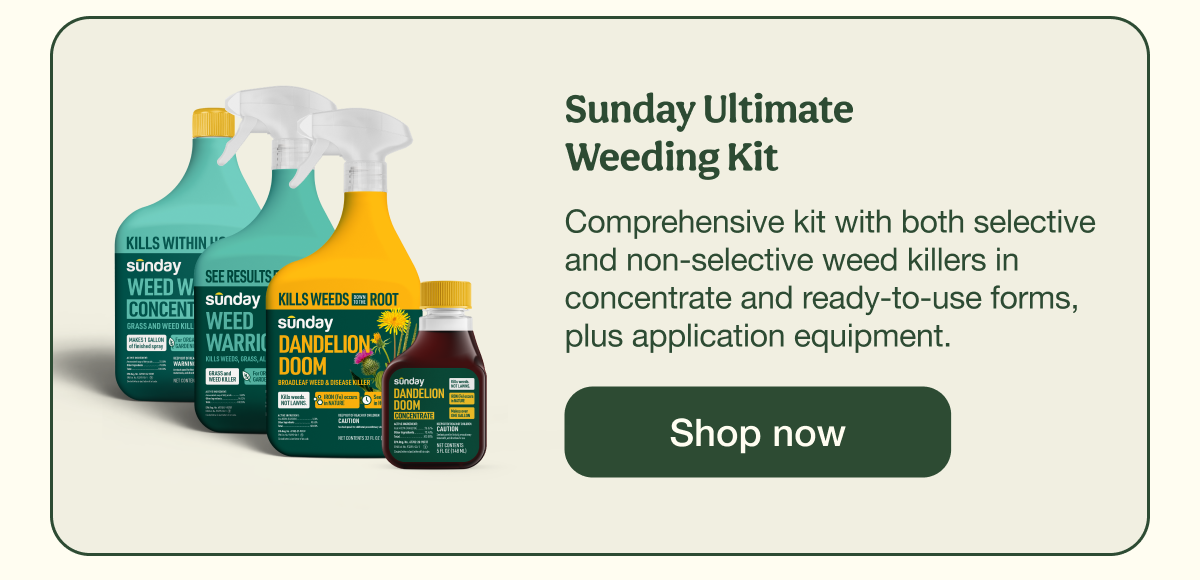 Sunday Ultimate Weeding Kit | Shop now