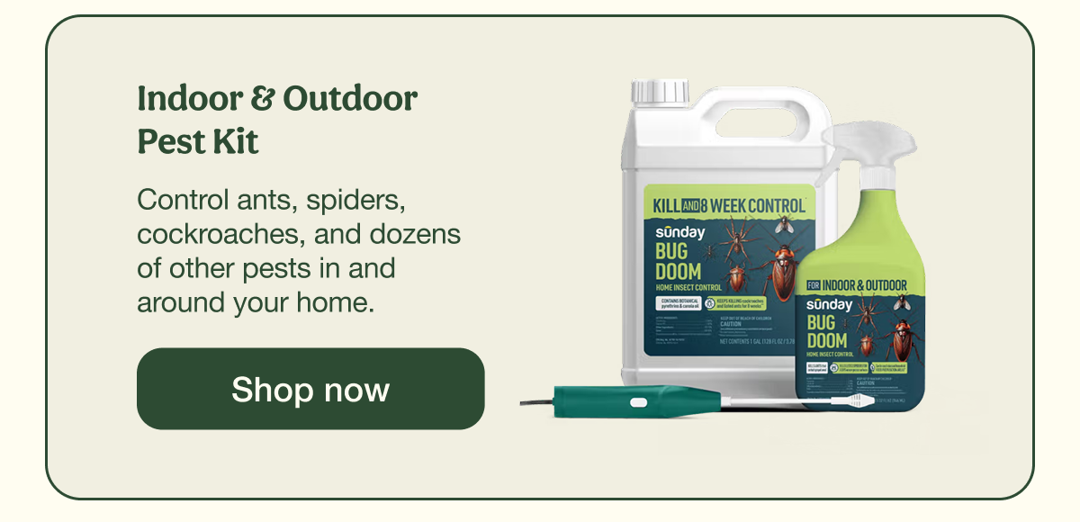 Indoor & Outdoor Pest Kit | Shop now