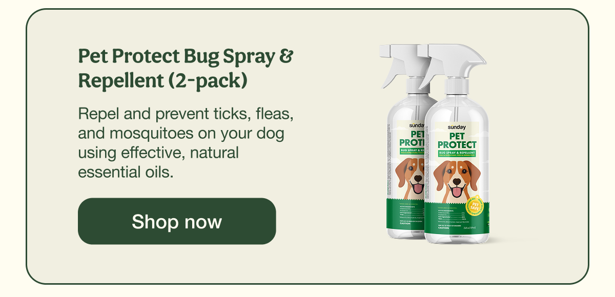 Pet Protect Bug Spray & Repellent (2-pack) | Shop now
