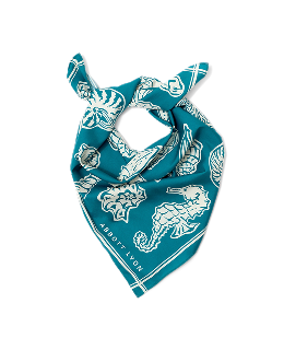 Ocean Icon Scarf (Teal)