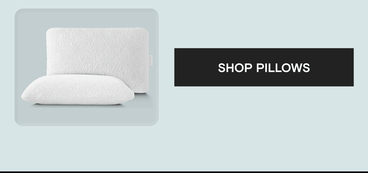 SHOP PILLOWS