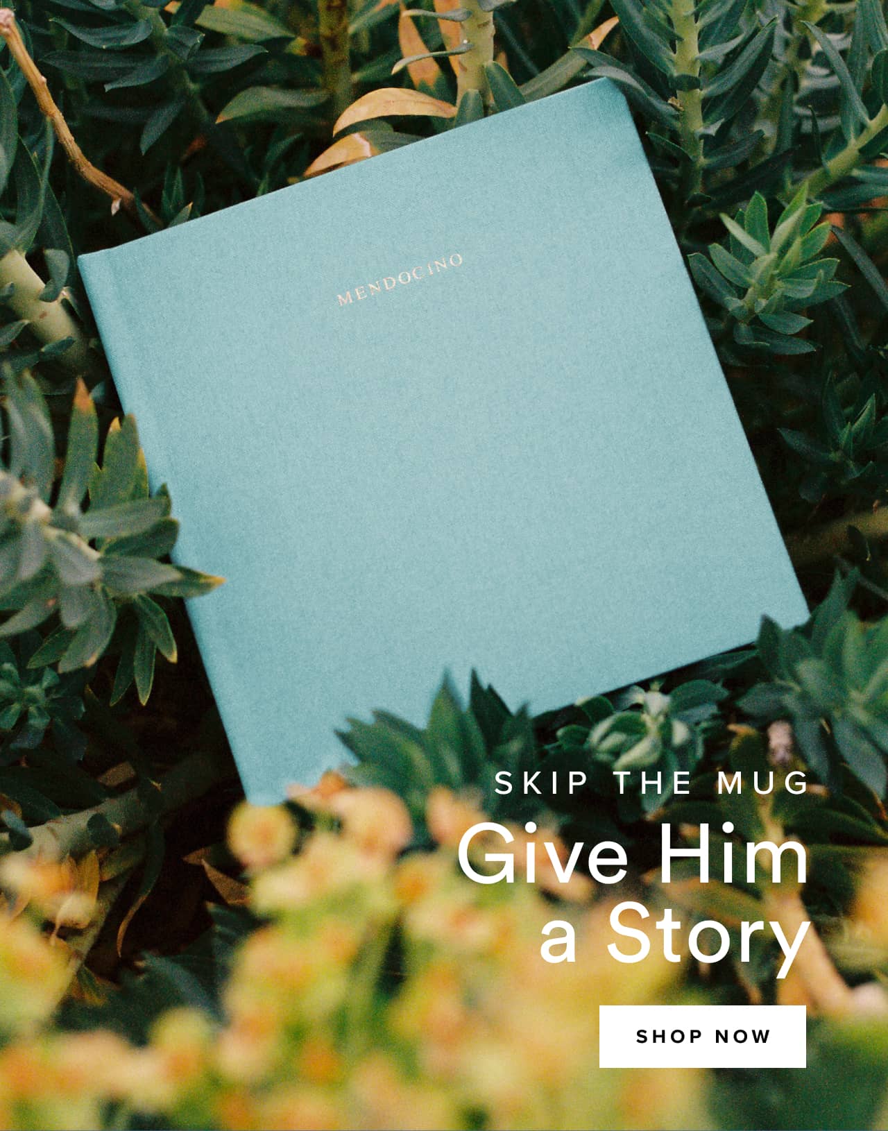 Skip the mug, give him a story