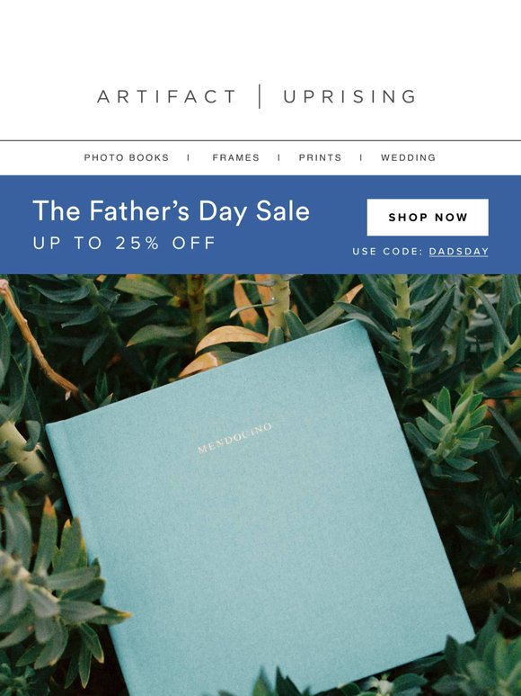 Skip the Father’s Day mug