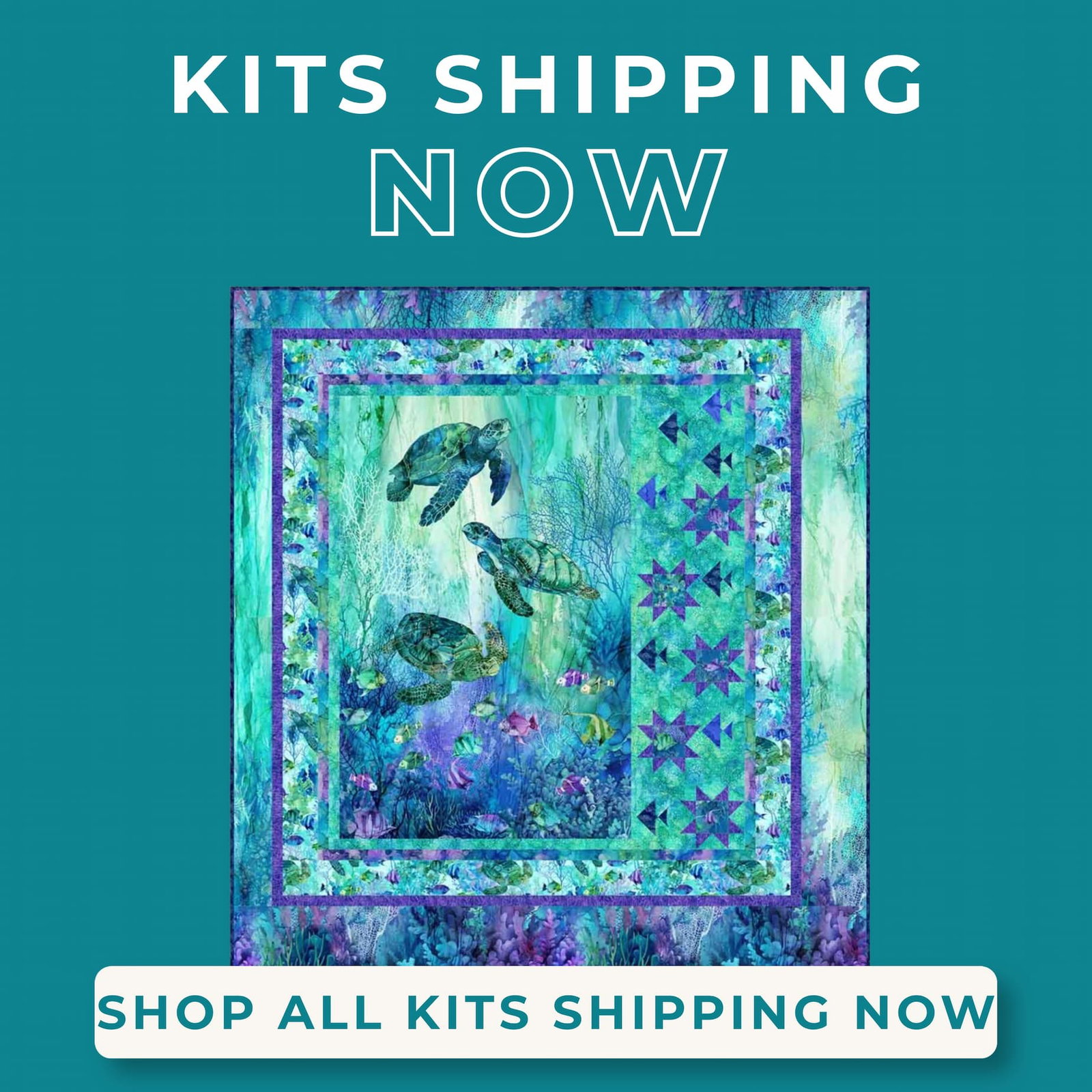 Kits Shipping Now