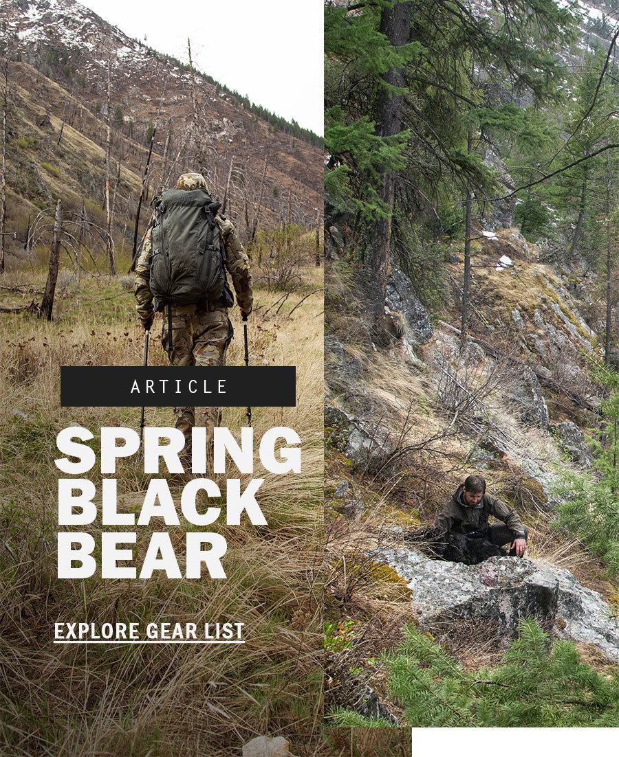 Spring Black Bear