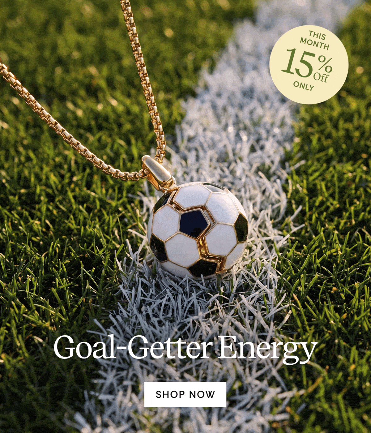 Goal-Getter Energy