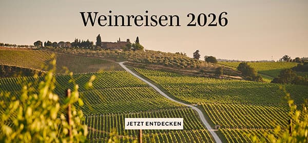 Weinlandschaft in der Toskana die die SCHULER Weinreisen zeigen