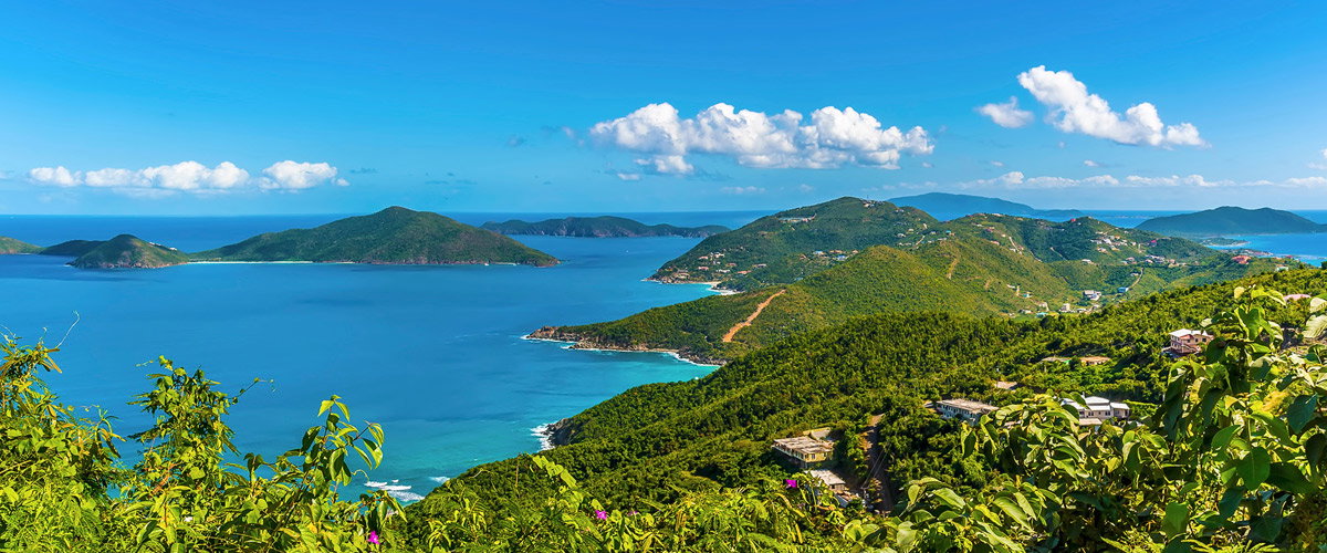 Vibes of the Virgin Islands