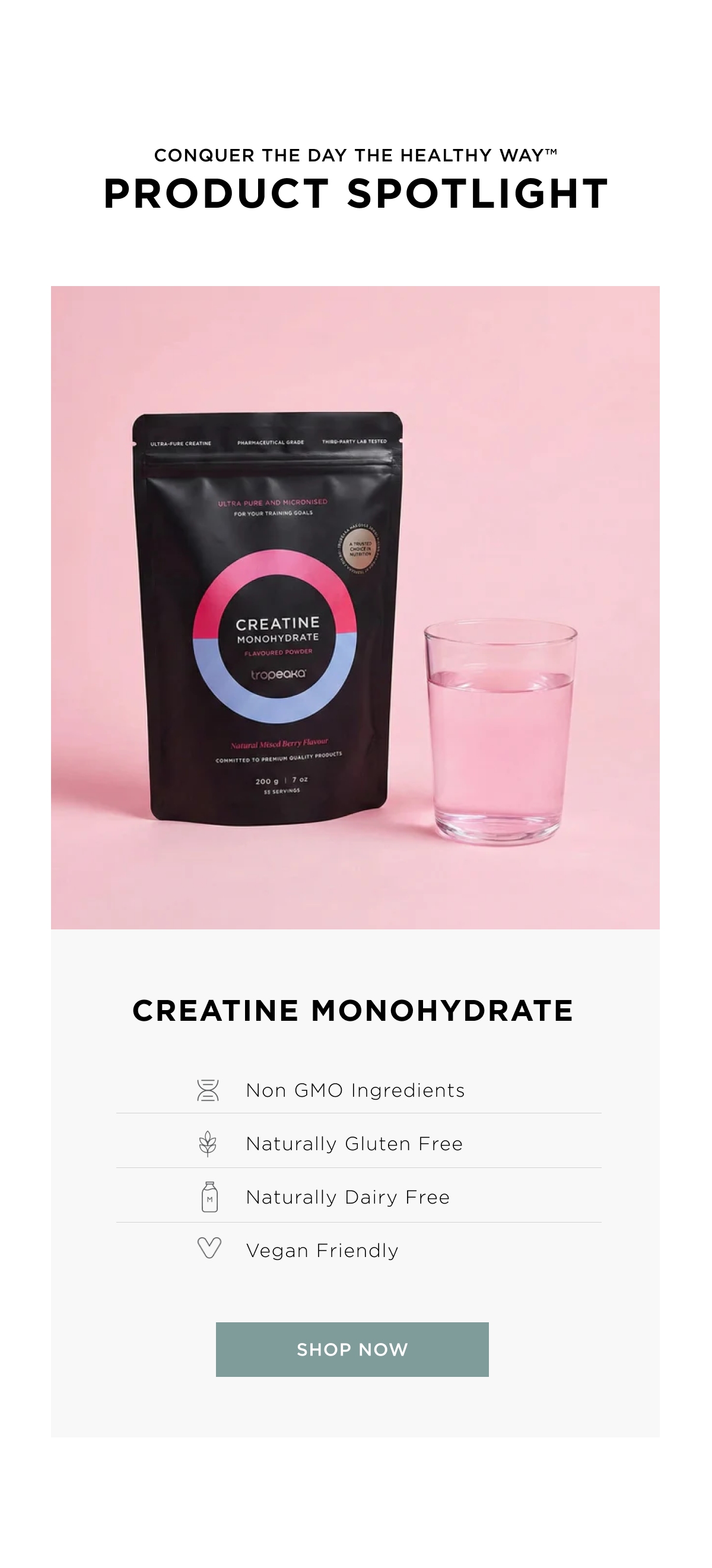 Product Spotlight