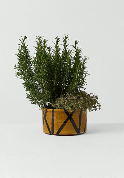 Hoxton Gardenware Large Slipware Planter