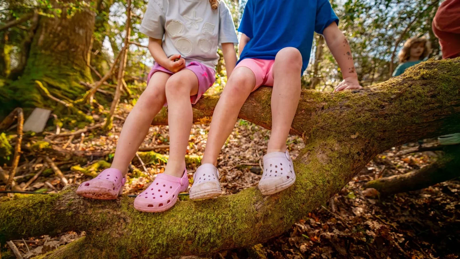 brother and sister sitting on log on Bluestone Nature Trail